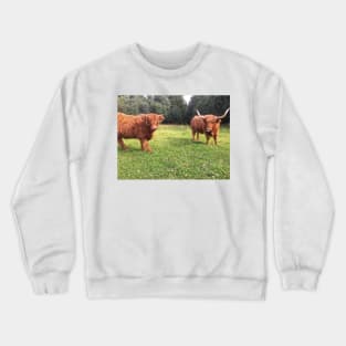 Scottish Highland Cattle Cow and Calf 2077 Crewneck Sweatshirt